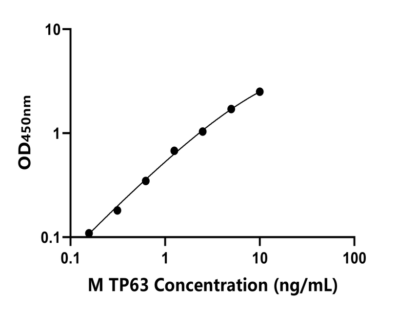 小鼠(TP63)ELISA試劑盒 小鼠(TP63)ELISA試劑盒