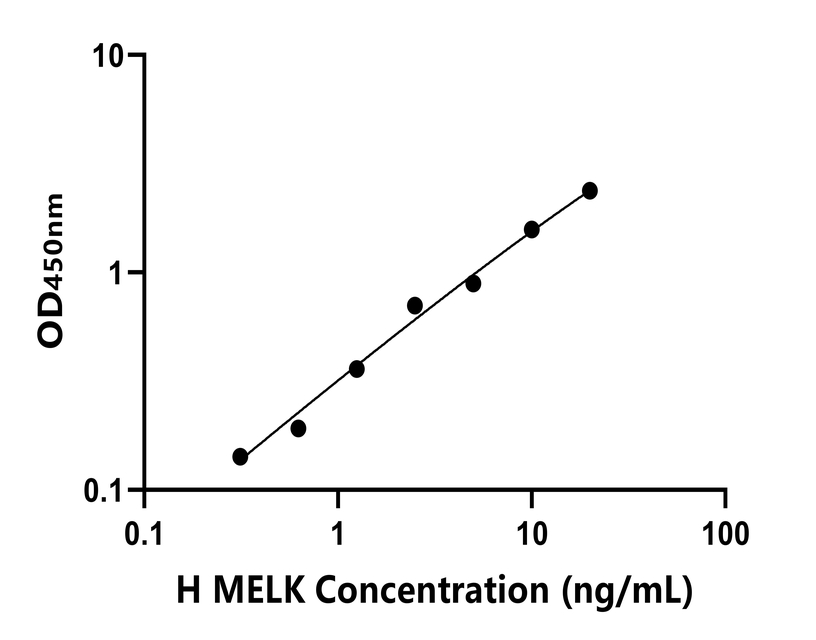 人(MELK)ELISA試劑盒