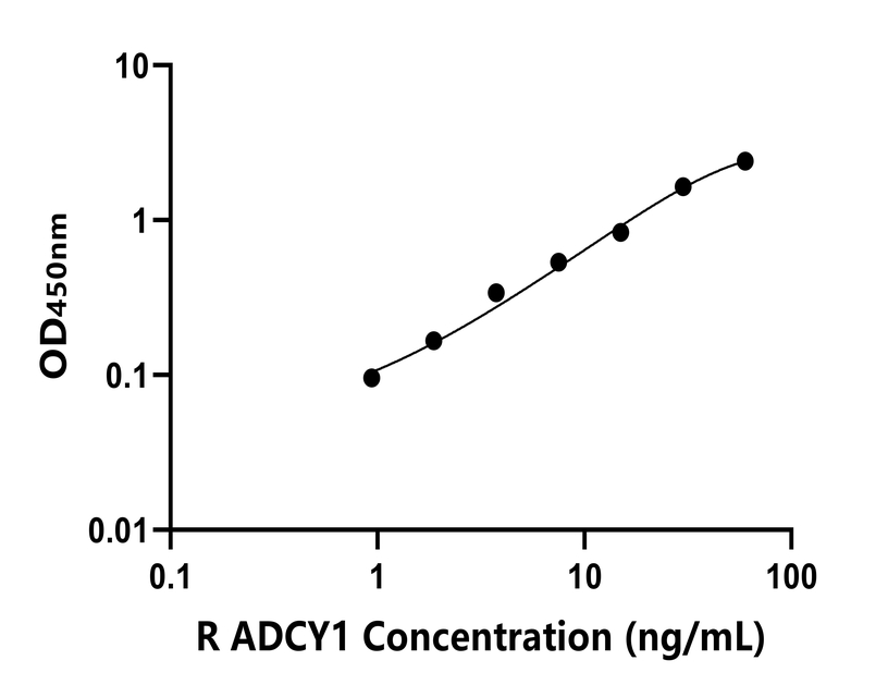 大鼠(ADCY1)ELISA試劑盒 大鼠(ADCY1)ELISA試劑盒